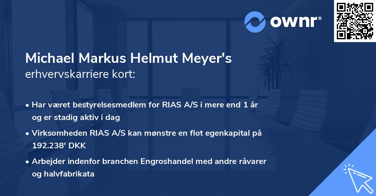 Michael Markus Helmut Meyer's erhvervskarriere kort