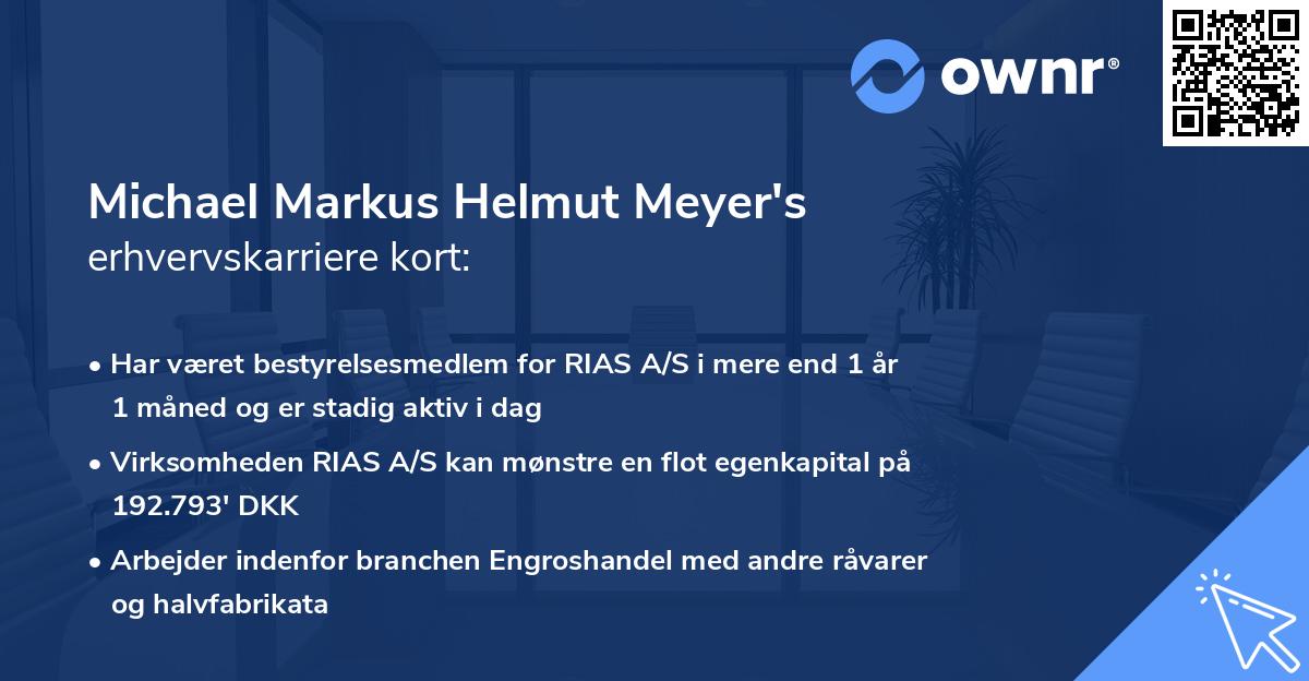 Michael Markus Helmut Meyer's erhvervskarriere kort