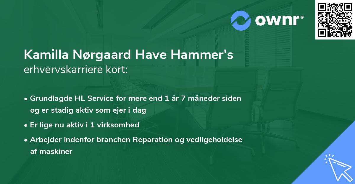 Kamilla Nørgaard Have Hammer's erhvervskarriere kort