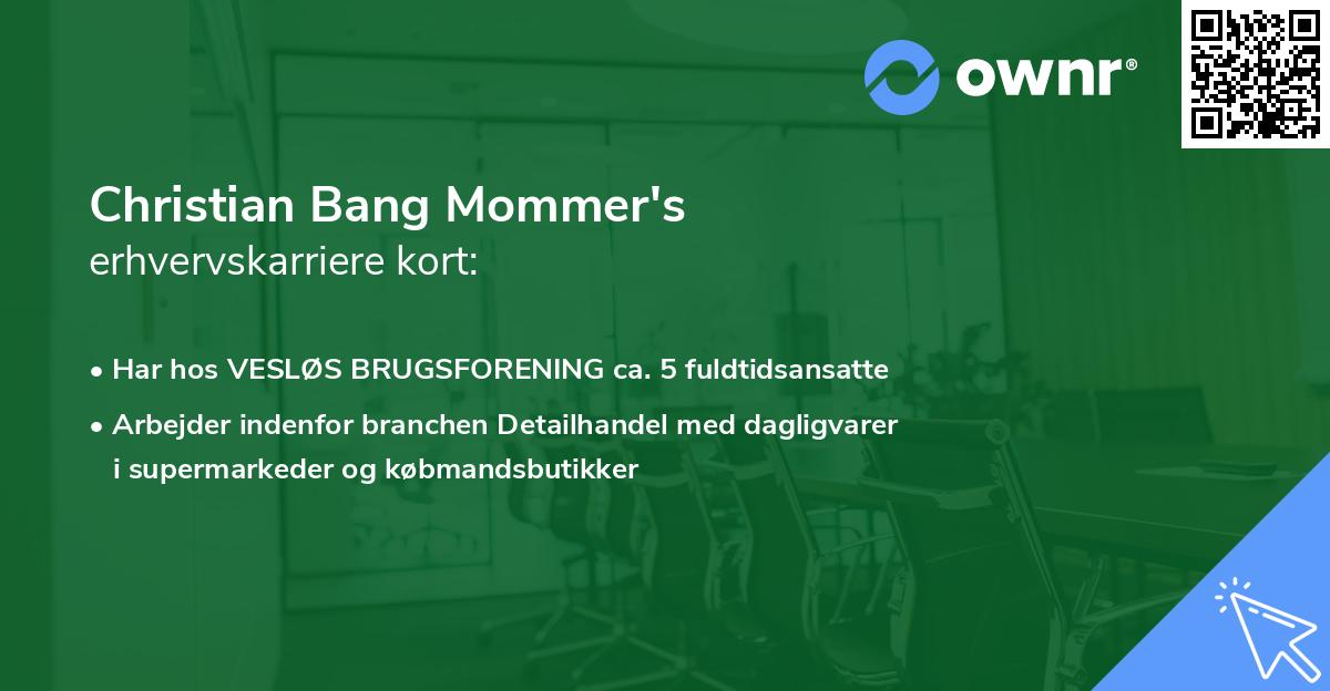 Christian Bang Mommer's erhvervskarriere kort