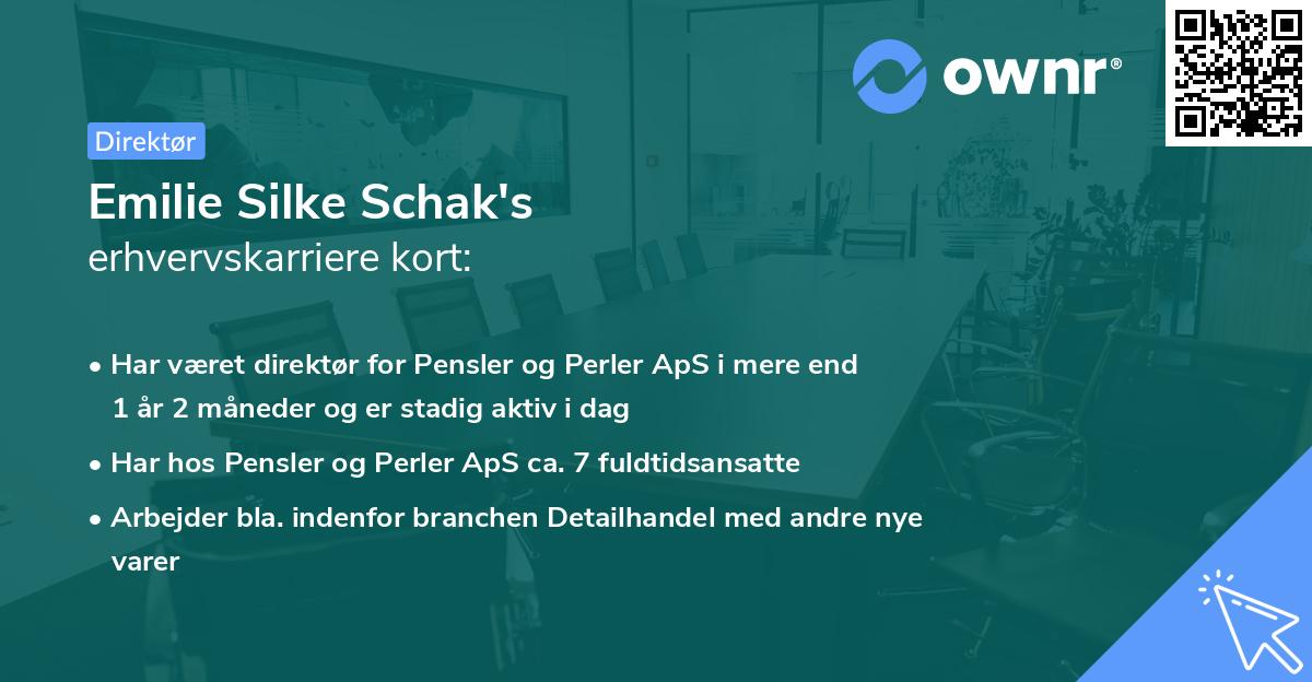 Emilie Silke Schak's erhvervskarriere kort