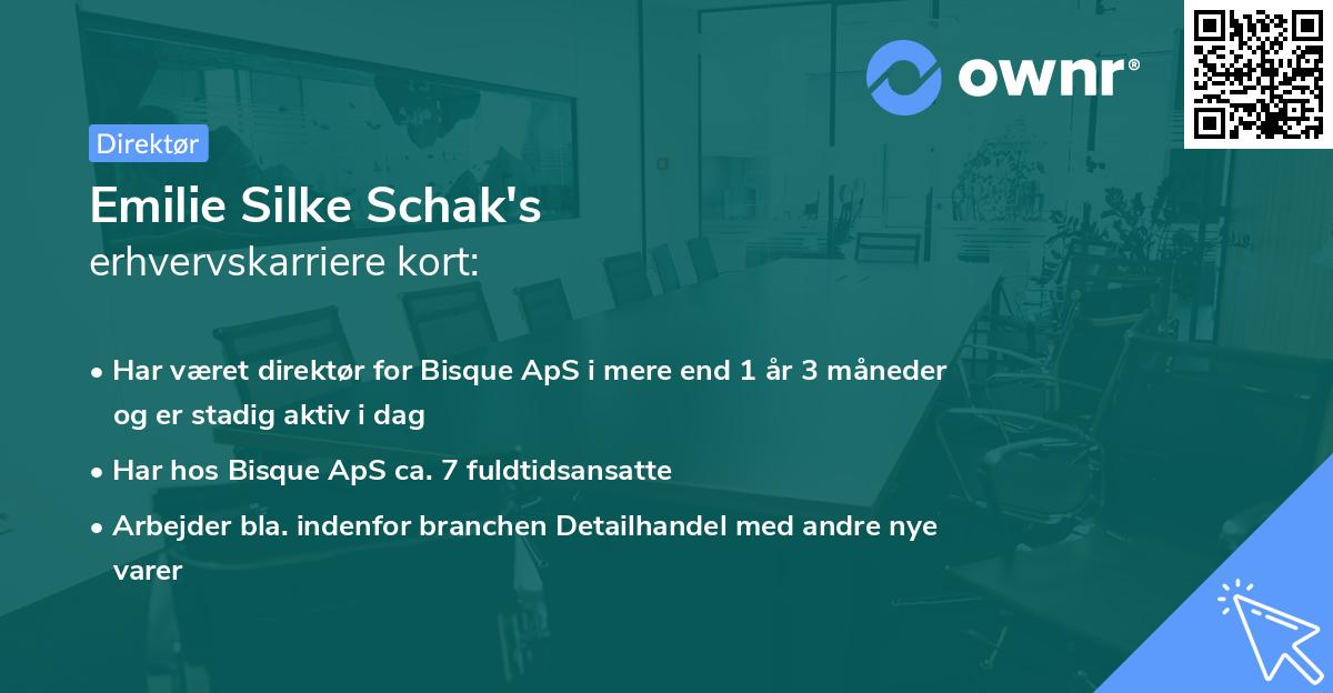 Emilie Silke Schak's erhvervskarriere kort