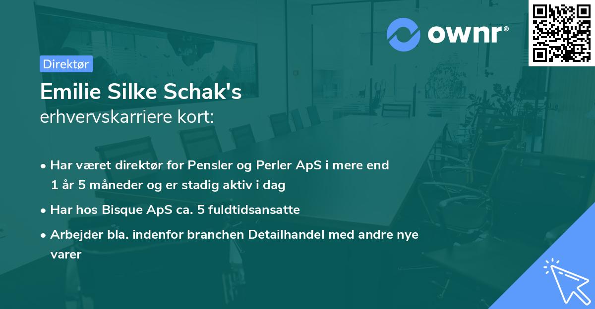 Emilie Silke Schak's erhvervskarriere kort
