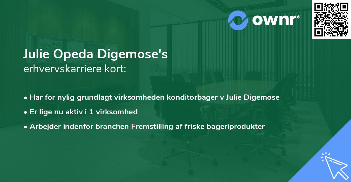 Julie Opeda Digemose's erhvervskarriere kort