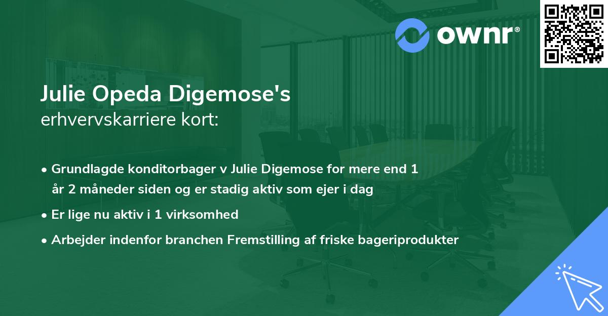 Julie Opeda Digemose's erhvervskarriere kort