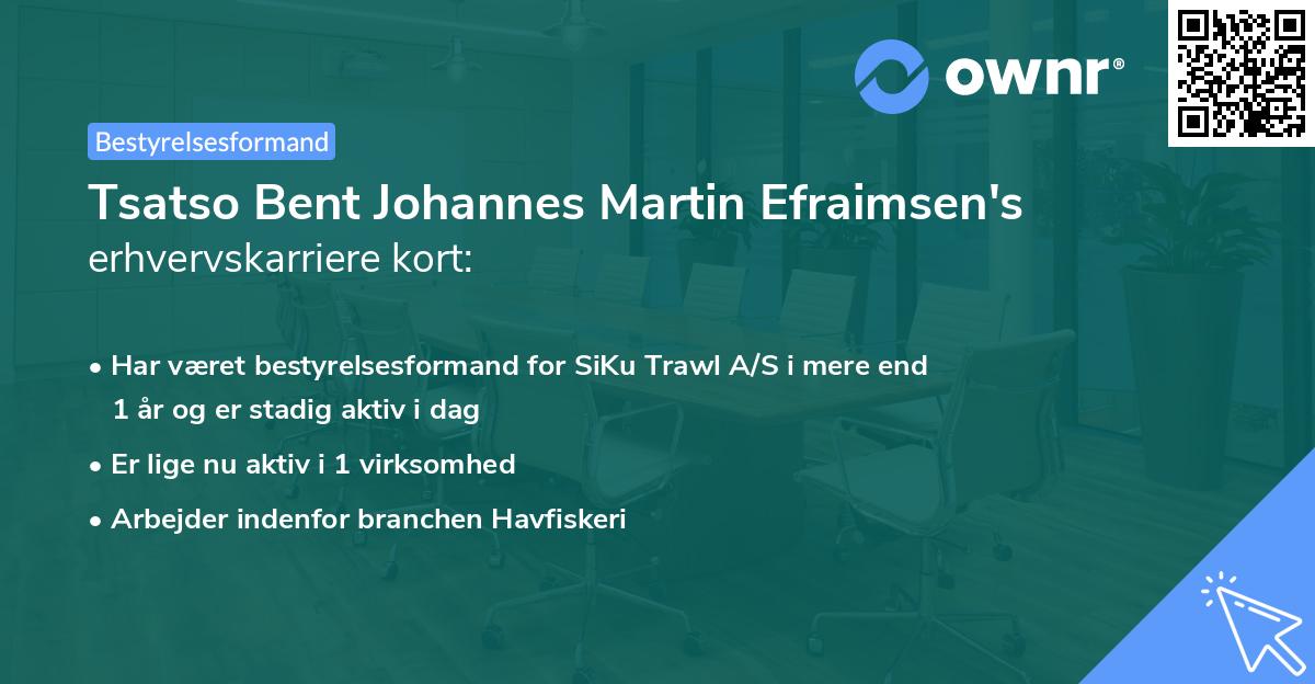 Tsatso Bent Johannes Martin Efraimsen's erhvervskarriere kort