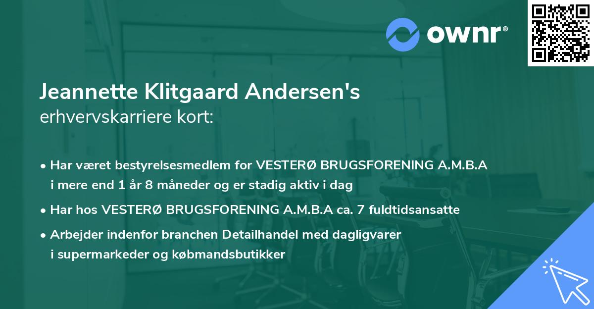 Jeannette Klitgaard Andersen's erhvervskarriere kort