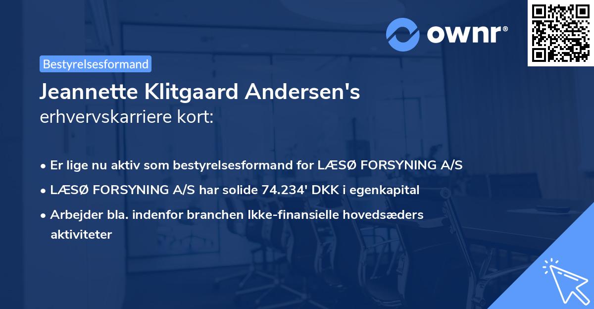 Jeannette Klitgaard Andersen's erhvervskarriere kort
