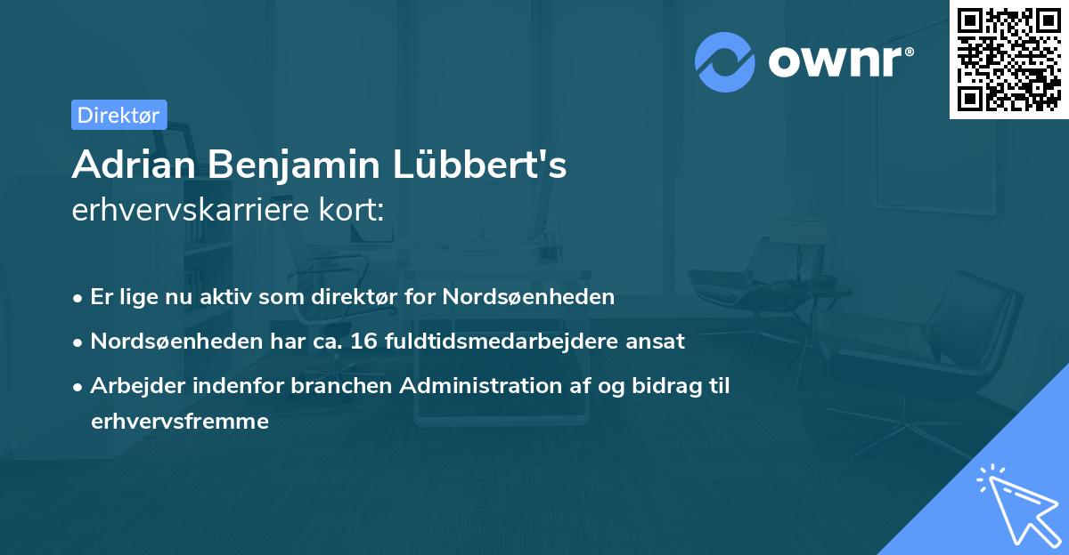 Adrian Benjamin Lübbert's erhvervskarriere kort