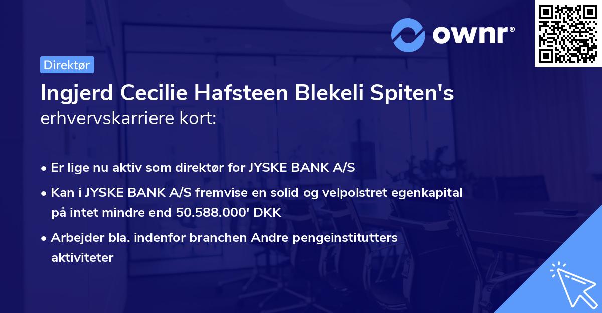 Ingjerd Cecilie Hafsteen Blekeli Spiten's erhvervskarriere kort