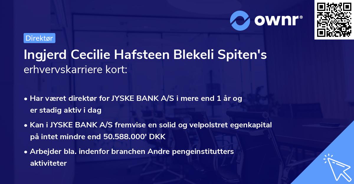 Ingjerd Cecilie Hafsteen Blekeli Spiten's erhvervskarriere kort
