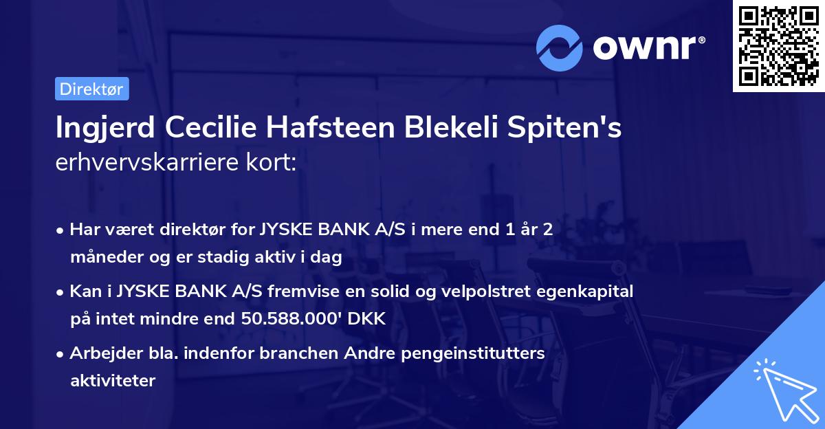 Ingjerd Cecilie Hafsteen Blekeli Spiten's erhvervskarriere kort