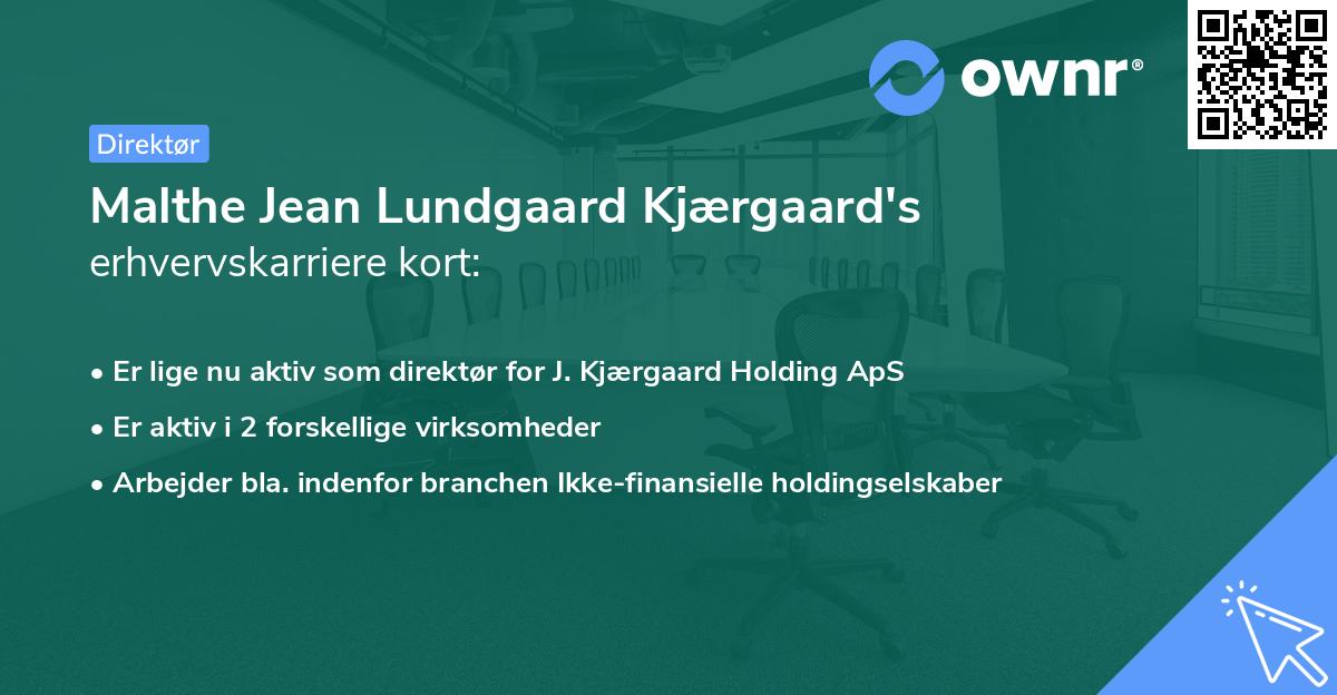 Malthe Jean Lundgaard Kjærgaard's erhvervskarriere kort