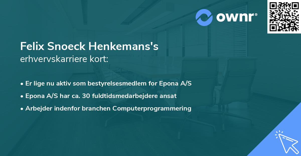 Felix Snoeck Henkemans's erhvervskarriere kort