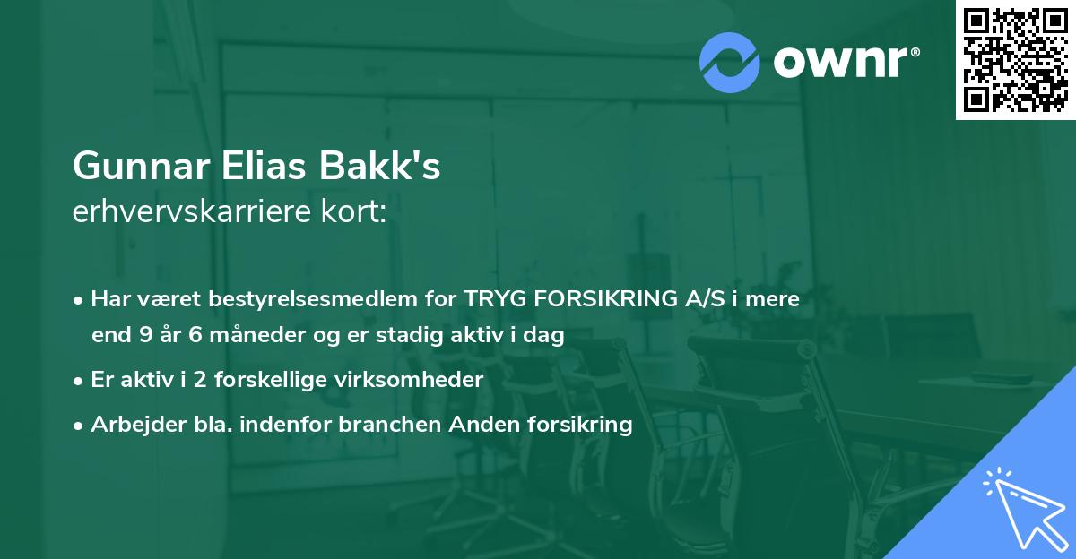 Gunnar Elias Bakk's erhvervskarriere kort