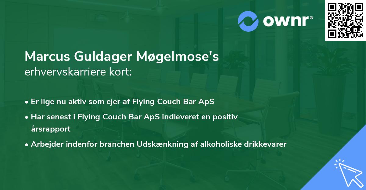 Marcus Guldager Møgelmose's erhvervskarriere kort