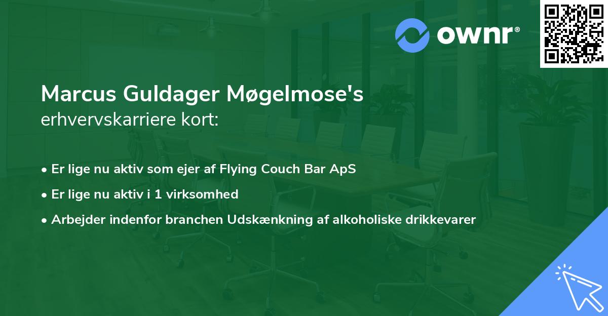 Marcus Guldager Møgelmose's erhvervskarriere kort