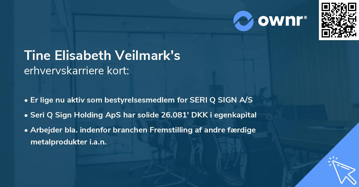 Tine Elisabeth Veilmark's erhvervskarriere kort