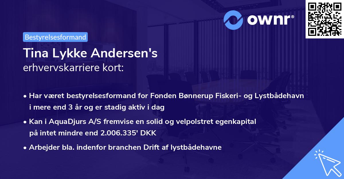 Tina Lykke Andersen's erhvervskarriere kort