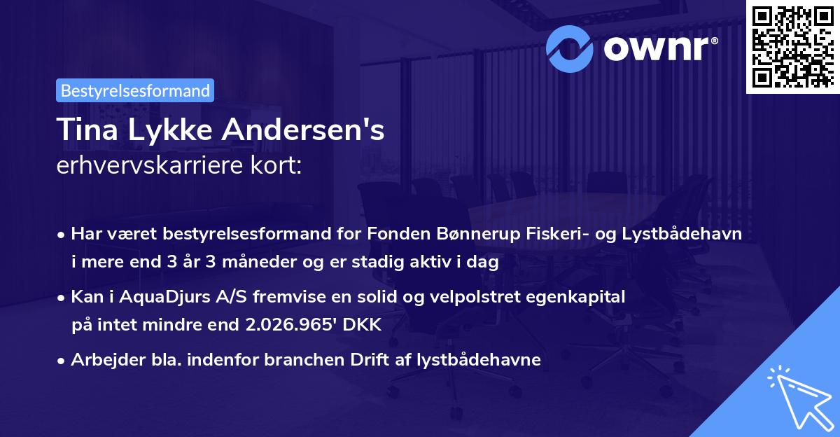 Tina Lykke Andersen's erhvervskarriere kort