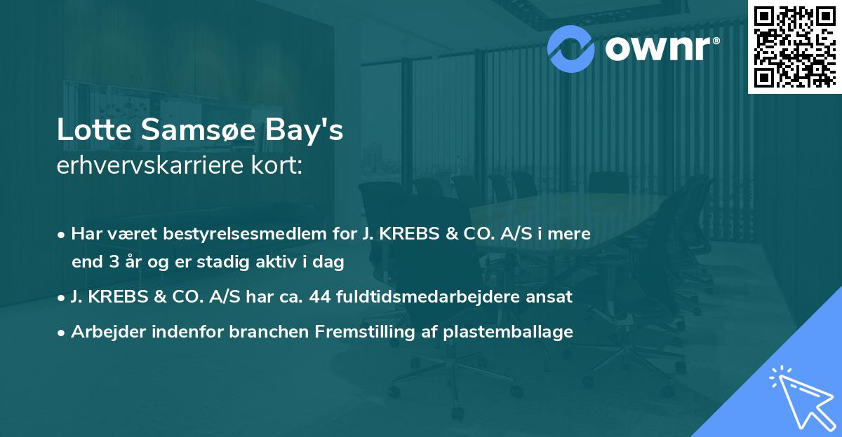 Lotte Samsøe Bay's erhvervskarriere kort