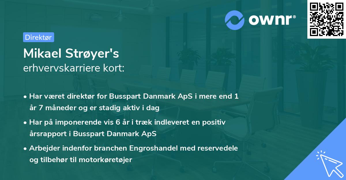 Mikael Strøyer's erhvervskarriere kort