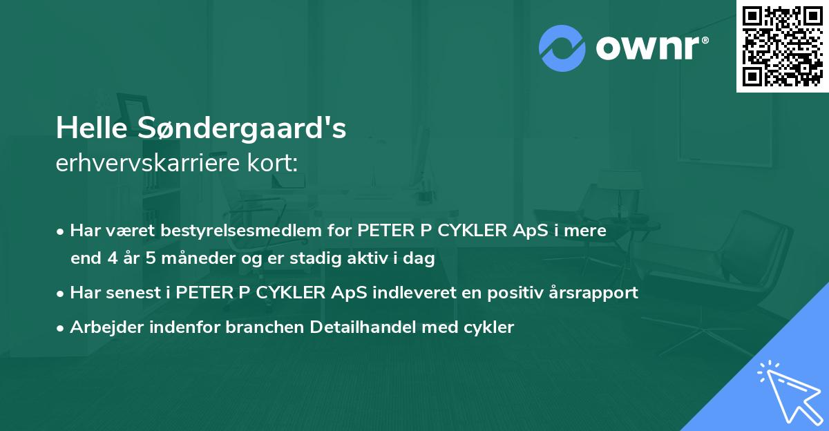 Helle Søndergaard's erhvervskarriere kort