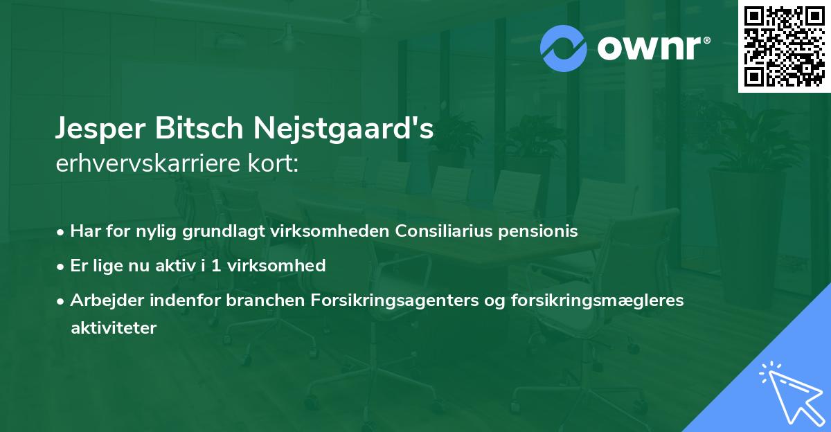 Jesper Bitsch Nejstgaard's erhvervskarriere kort