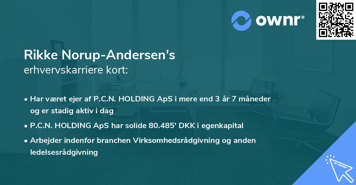 Rikke Norup-Andersen's erhvervskarriere kort