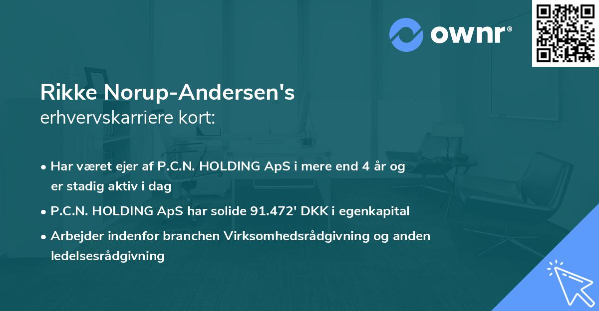 Rikke Norup-Andersen's erhvervskarriere kort