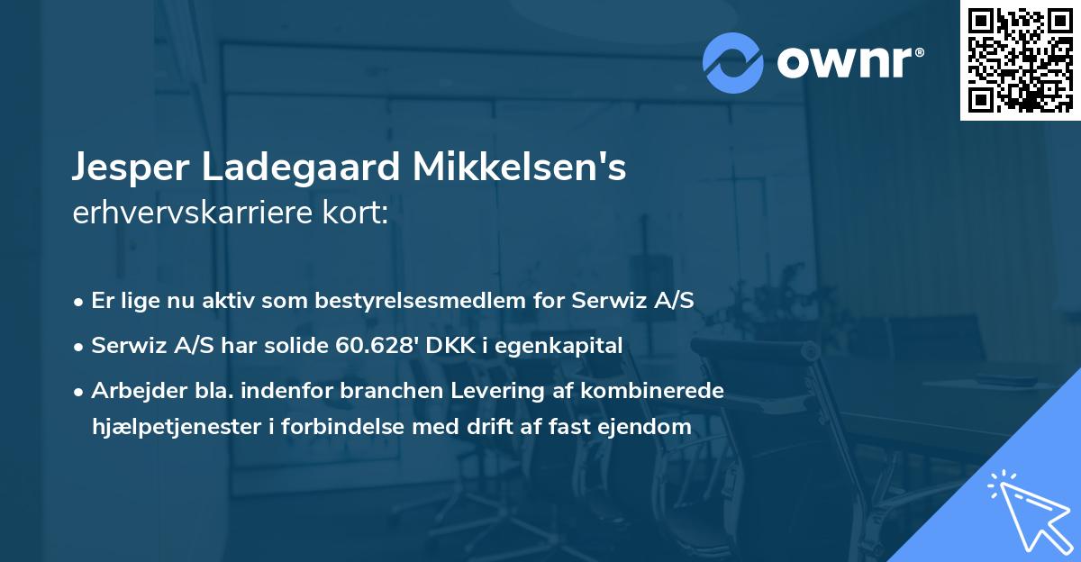 Jesper Ladegaard Mikkelsen's erhvervskarriere kort