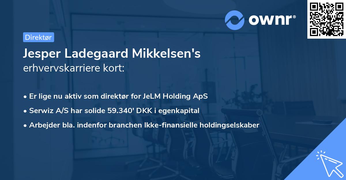 Jesper Ladegaard Mikkelsen's erhvervskarriere kort