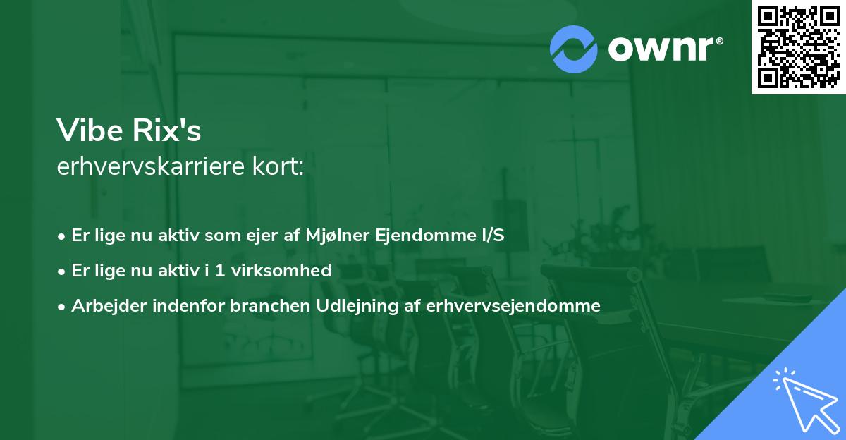 Vibe Rix's erhvervskarriere kort
