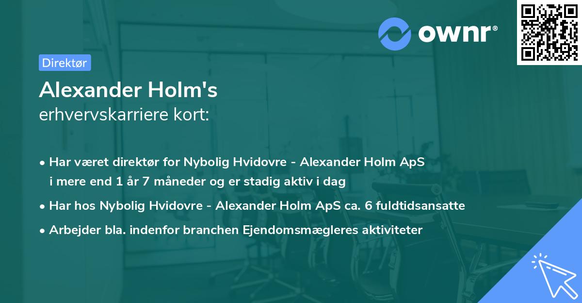 Alexander Holm's erhvervskarriere kort