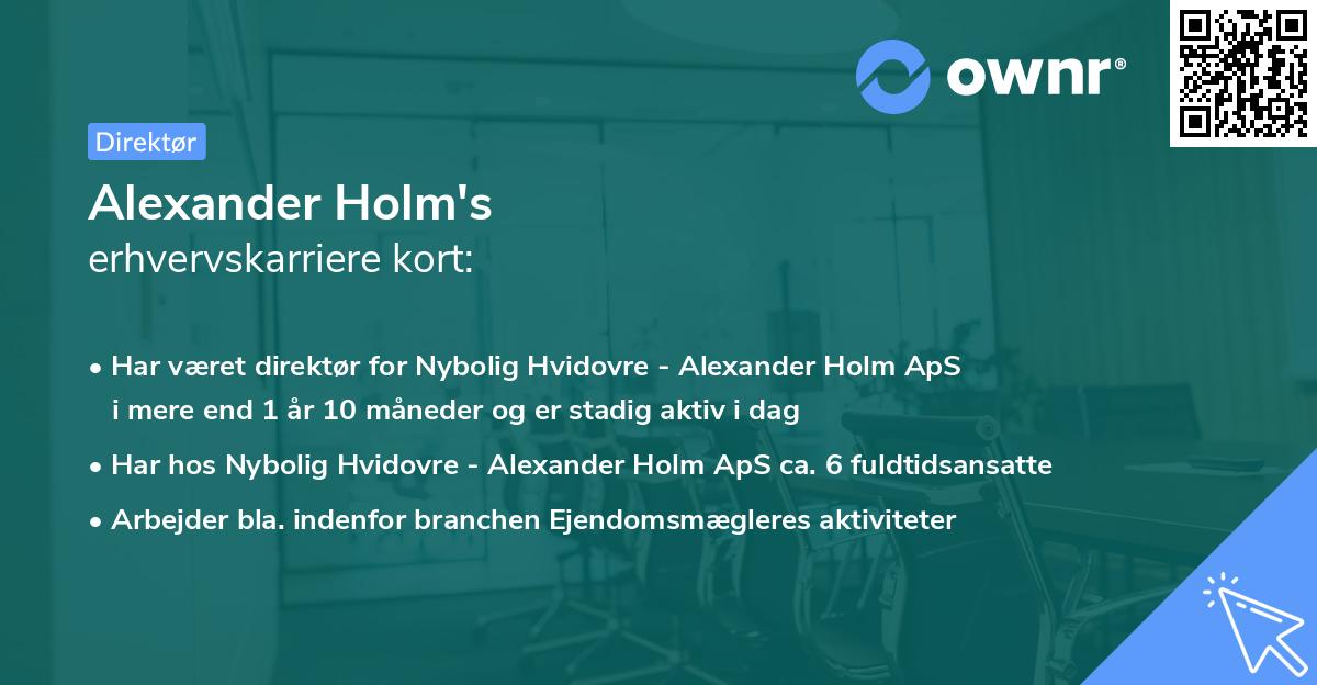 Alexander Holm's erhvervskarriere kort