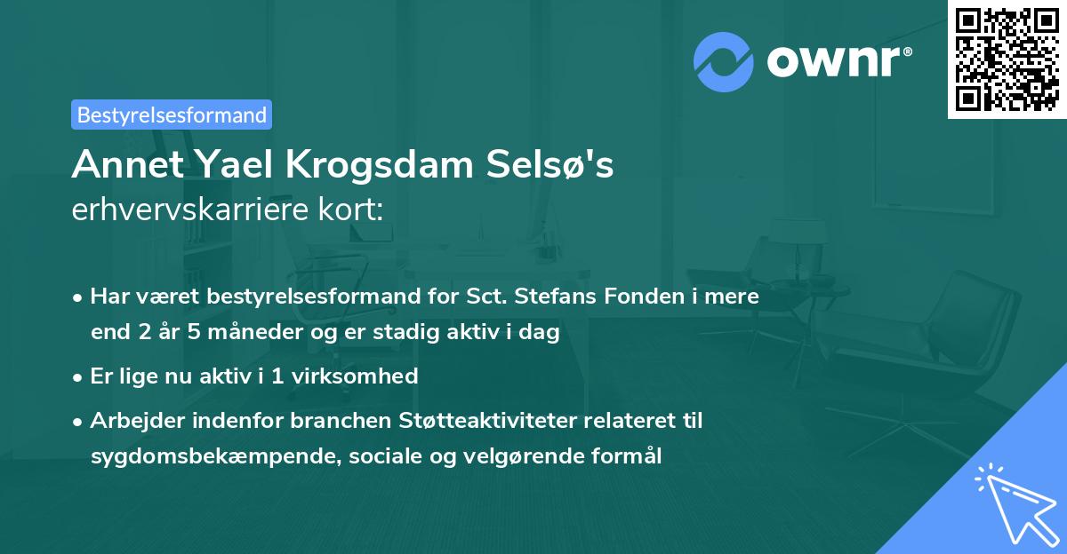 Annet Yael Krogsdam Selsø's erhvervskarriere kort