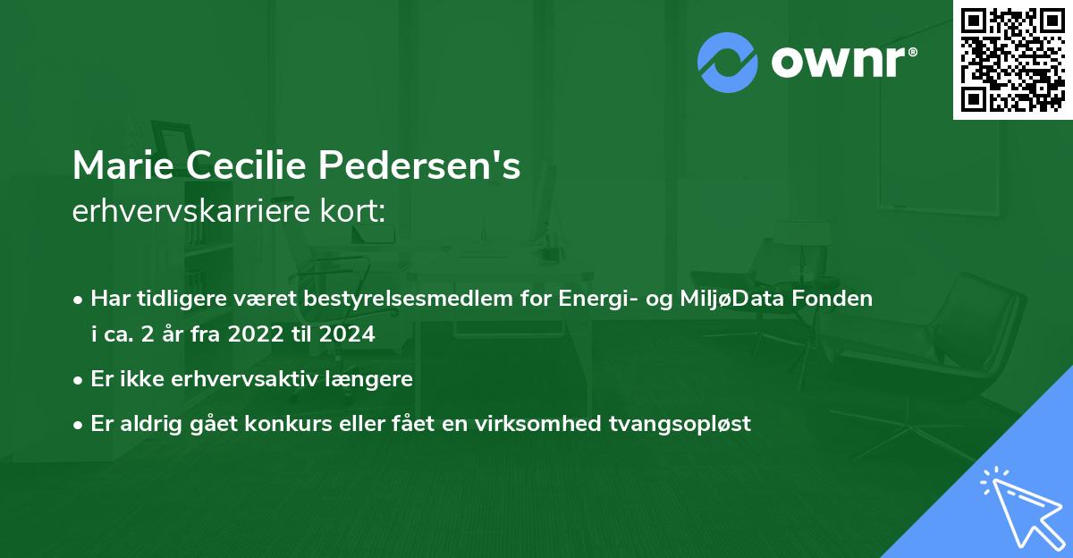 Marie Cecilie Pedersen's erhvervskarriere kort