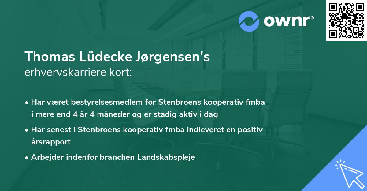 Thomas Lüdecke Jørgensen's erhvervskarriere kort