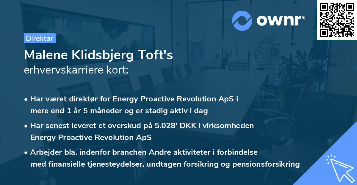 Malene Klidsbjerg Toft's erhvervskarriere kort