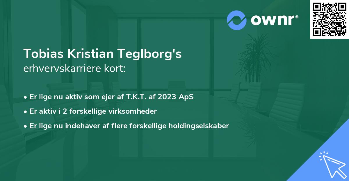 Tobias Kristian Teglborg's erhvervskarriere kort