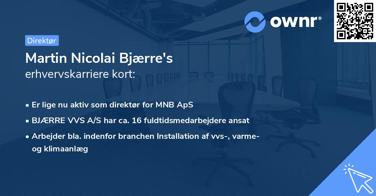 Martin Nicolai Bjærre's erhvervskarriere kort