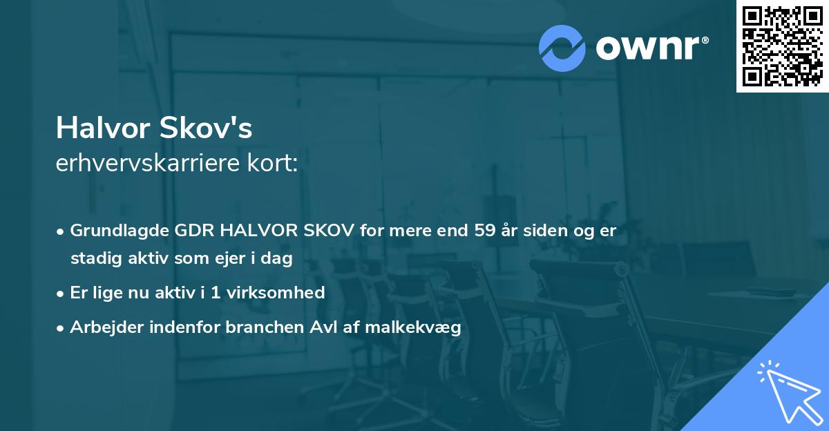 Halvor Skov's erhvervskarriere kort