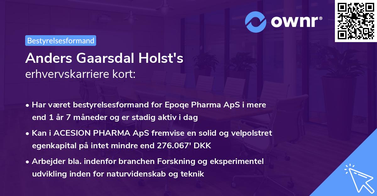 Anders Gaarsdal Holst's erhvervskarriere kort