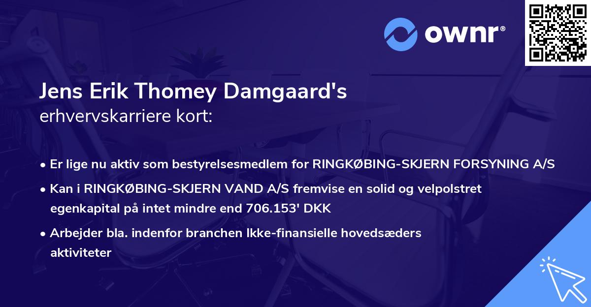 Jens Erik Thomey Damgaard's erhvervskarriere kort