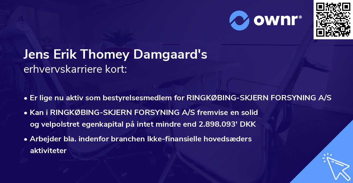 Jens Erik Thomey Damgaard's erhvervskarriere kort