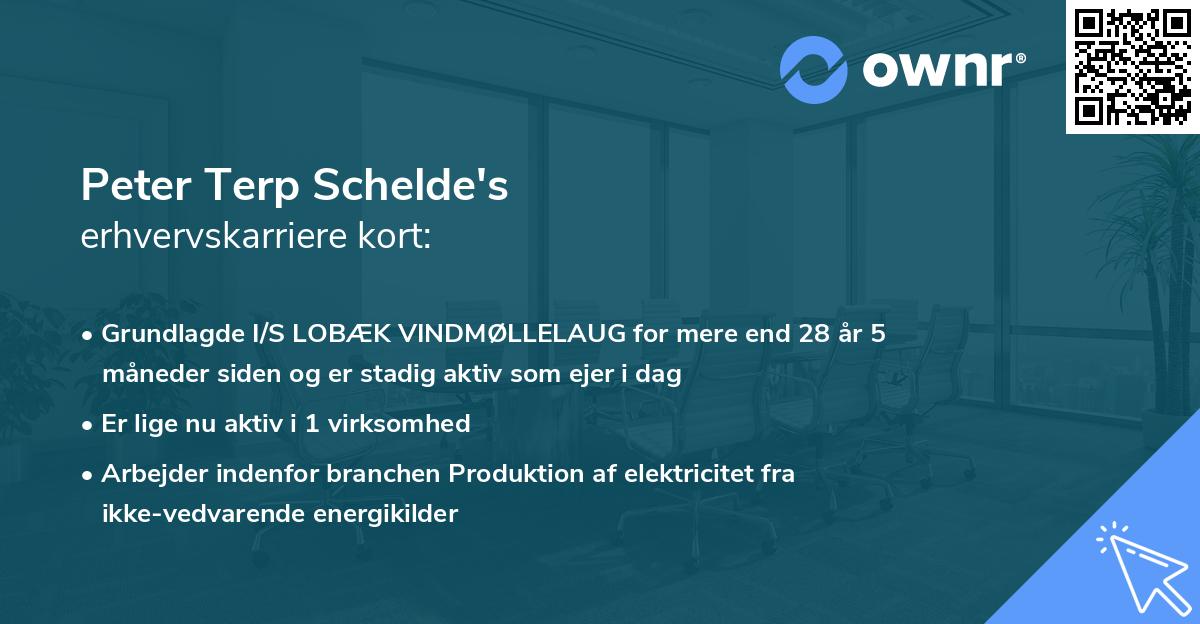 Peter Terp Schelde's erhvervskarriere kort