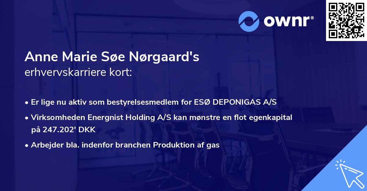 Anne Marie Søe Nørgaard's erhvervskarriere kort