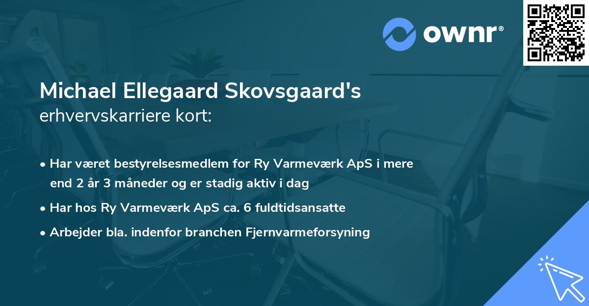 Michael Ellegaard Skovsgaard's erhvervskarriere kort