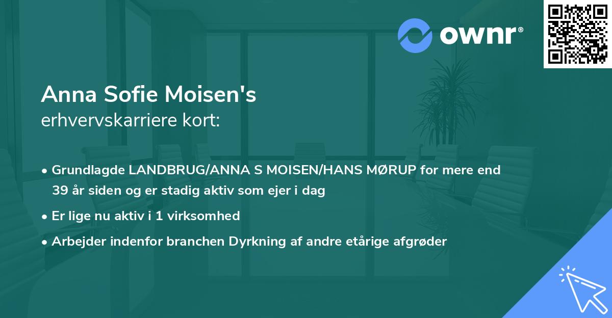 Anna Sofie Moisen's erhvervskarriere kort