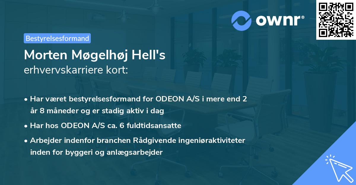Morten Møgelhøj Hell's erhvervskarriere kort